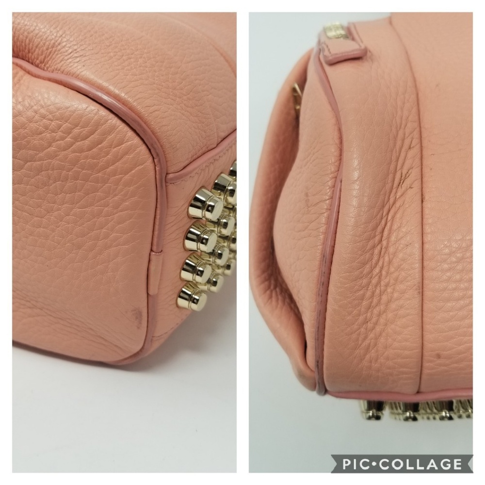 Alexander Wang Bag - Picture 7 of 8